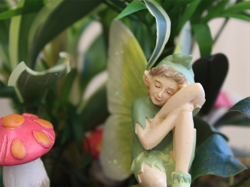 Fairy Garden