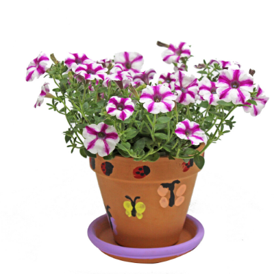 Paint and Plant for mom